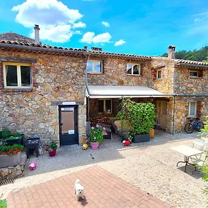 Bed & Breakfast La Bergerie Du Moulin (adults Only) Taradeau